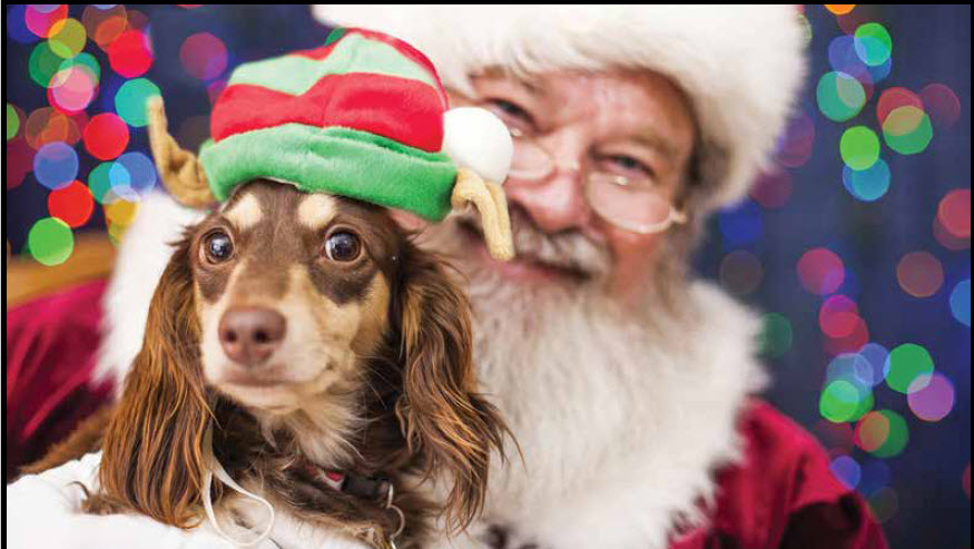 Another Letter to Doggie Claus