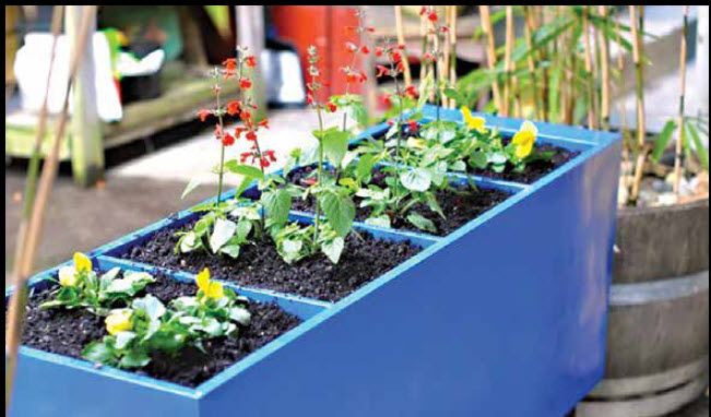 A Raised Bed Has Benefits For A Mental Harvest!
