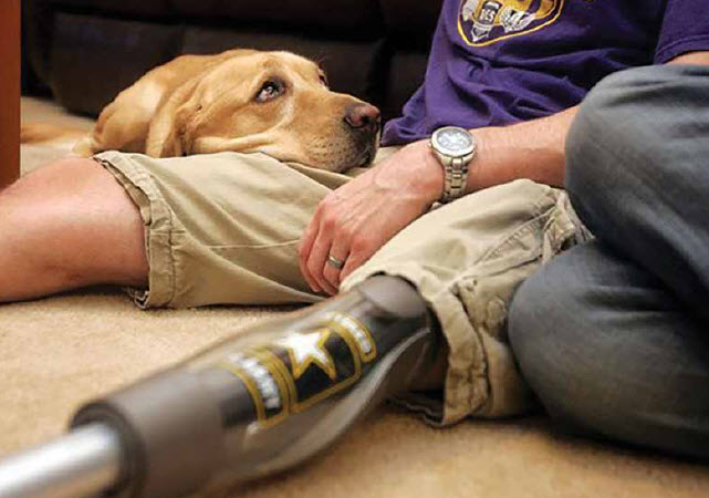 Becoming An Amputee With A Service Dog