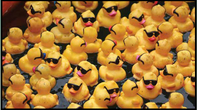 Adopt Your Ducks For The Wacky Quacky Ducky Derby $2,000 Grand Prize Could Be Yours!