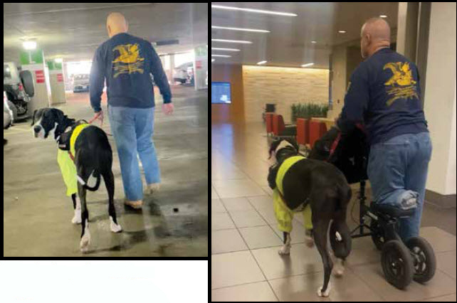 UPDATE:  Being An Amputee And Having A Service Dog