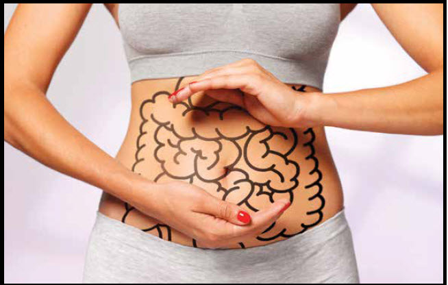 The Importance Of Gut Health