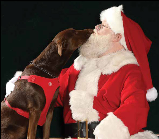 Another Letter To Doggie Claus