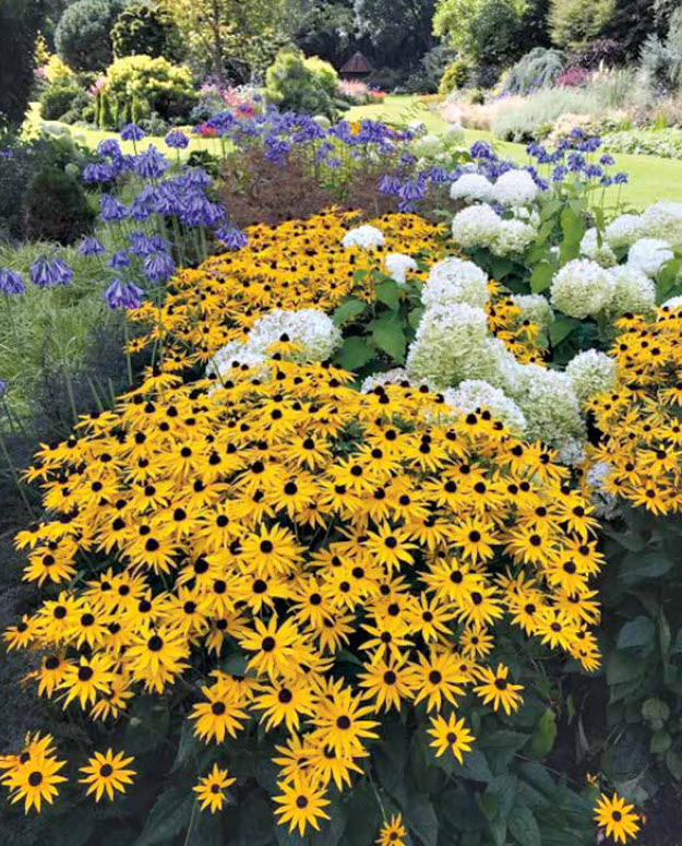 Choosing Landscape And Garden Plants Wisely