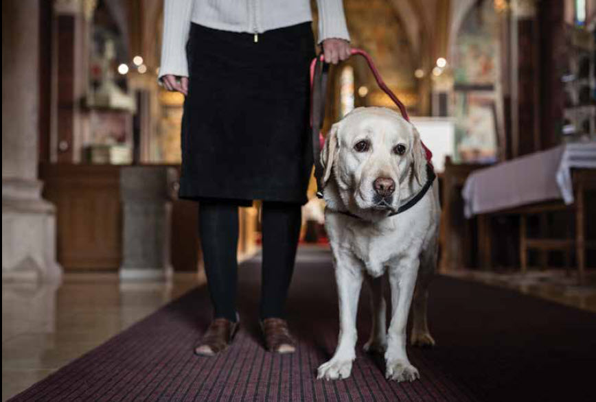 Visiting A Church With A Service Dog