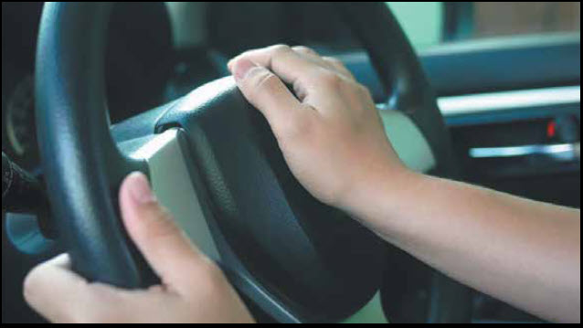 The ‘HONK’ Heard Around The World!