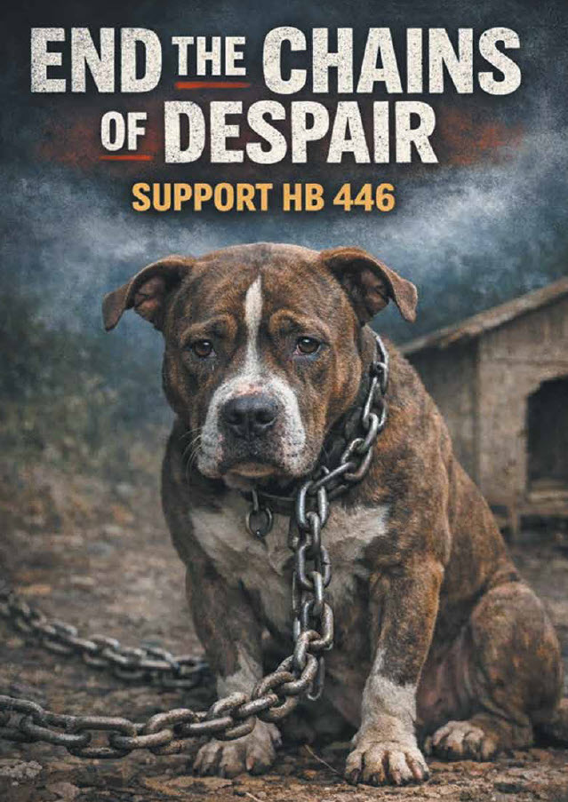 Alabama HB 446 – The Alabama Dog Tethering And Outdoor Shelter Act